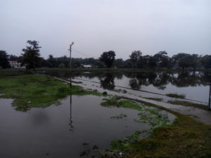 রংপুর চিকলী বিলে পানি উপচে পরেছে