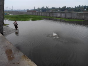 রংপুর চিকলী বিল