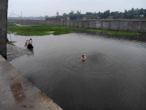 রংপুর চিকলী বিল