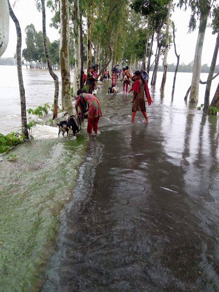 কুড়িগ্রাম জেলার বন্যা পরিস্থিতি