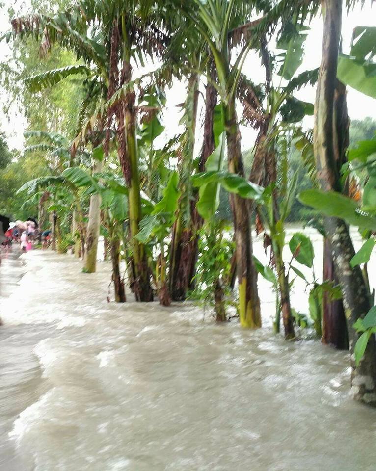 কুড়িগ্রাম জেলার বন্যা পরিস্থিতি