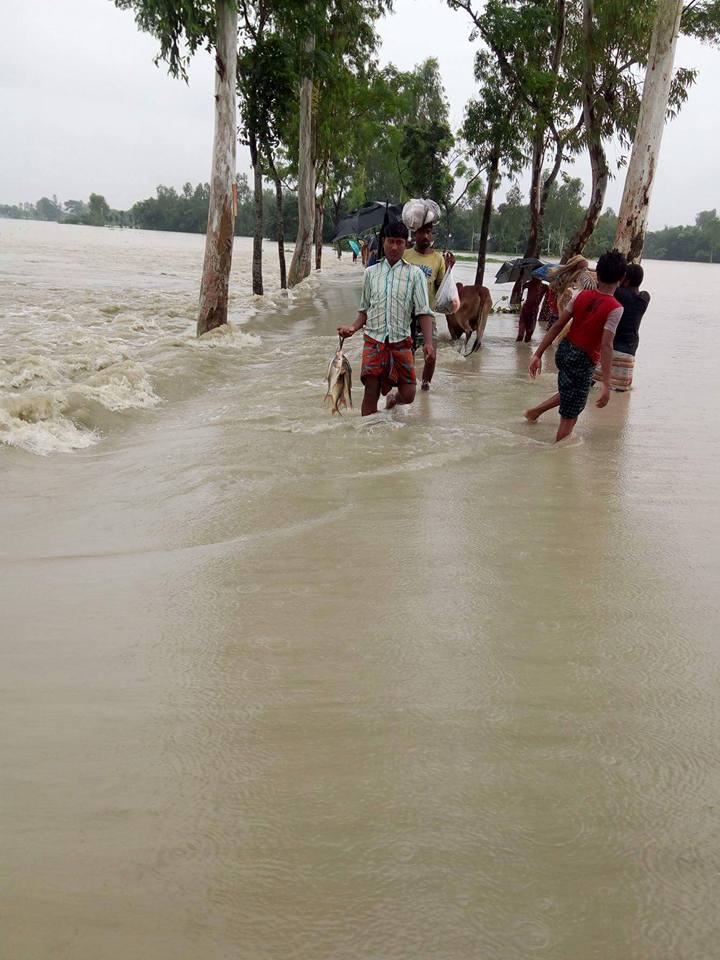 কুড়িগ্রাম জেলার বন্যা পরিস্থিতি